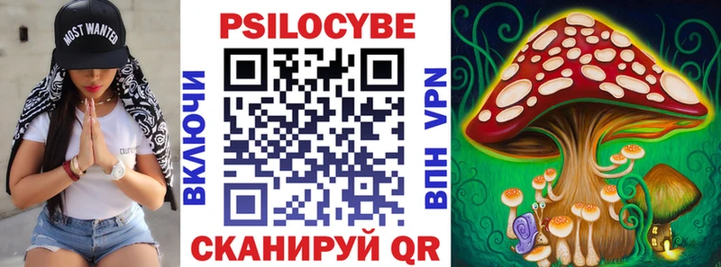 Купить  Пустошка  Псилоцибиновые грибы MAGIC MUSHROOMS 