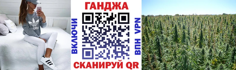 Купить закладки  Пустошка  Шишки марихуана сатива 